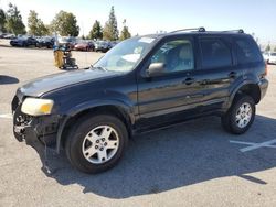 Salvage cars for sale at Rancho Cucamonga, CA auction: 2006 Ford Escape Limited