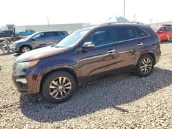 Vehiculos salvage en venta de Copart Phoenix, AZ: 2011 KIA Sorento SX