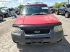 2002 Ford Escape XLT