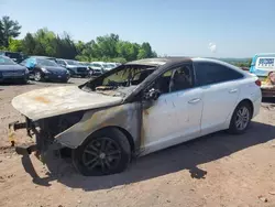 Salvage cars for sale at Pennsburg, PA auction: 2015 Hyundai Sonata SE