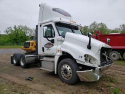 Salvage trucks for sale at Chambersburg, PA auction: 2011 Freightliner Cascadia 125