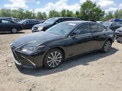 Salvage cars for sale at Baltimore, MD auction: 2019 Lexus ES 350