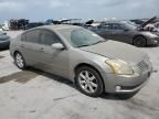 2006 Nissan Maxima SE