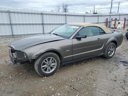 Salvage cars for sale at Appleton, WI auction: 2005 Ford Mustang