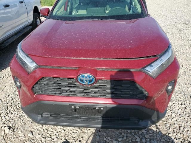 2023 Toyota Rav4 XLE Premium