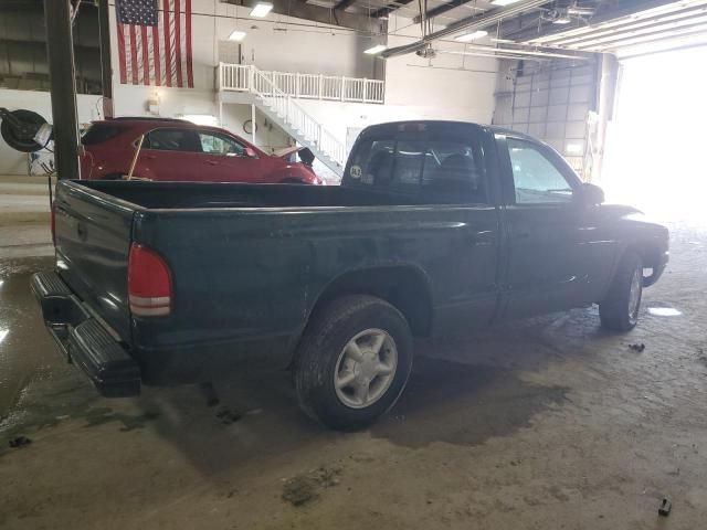 1999 Dodge Dakota