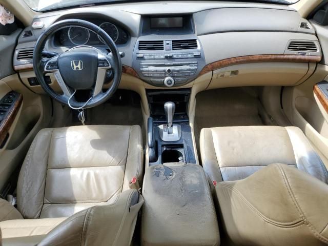 2010 Honda Accord EXL