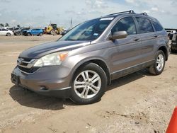 Salvage cars for sale at Houston, TX auction: 2011 Honda CR-V EXL