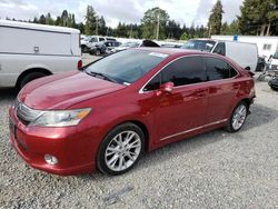 Salvage cars for sale from Copart Graham, WA: 2010 Lexus HS 250H