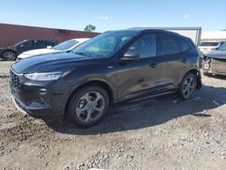 Ford Escape st Line salvage cars for sale: 2023 Ford Escape ST Line