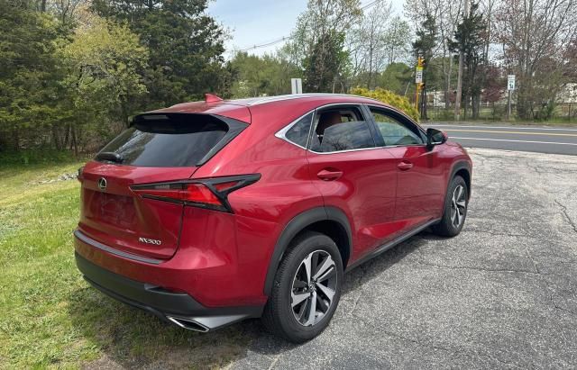 2020 Lexus NX 300