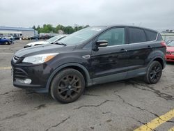 Salvage cars for sale at Pennsburg, PA auction: 2013 Ford Escape SEL
