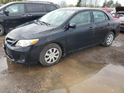 Salvage cars for sale at Bowmanville, ON auction: 2013 Toyota Corolla Base