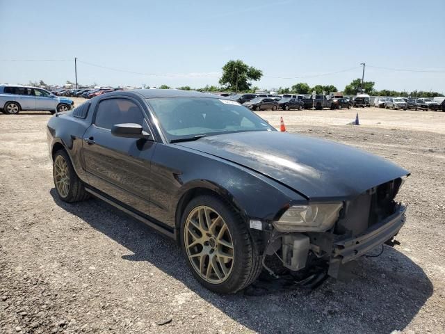 2013 Ford Mustang