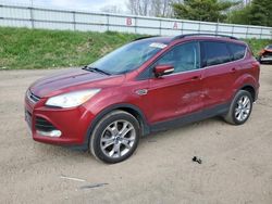 Salvage cars for sale at Davison, MI auction: 2013 Ford Escape SEL