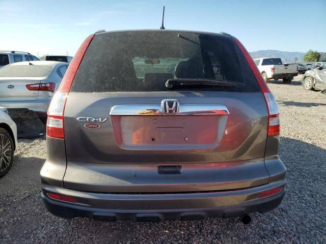 2010 Honda CR-V EX