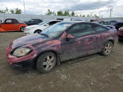 Salvage cars for sale at Nisku, AB auction: 2009 Pontiac G5