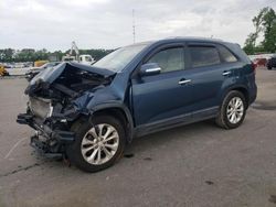 Salvage cars for sale at Dunn, NC auction: 2014 KIA Sorento EX