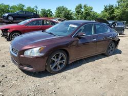 Salvage cars for sale at Baltimore, MD auction: 2014 Nissan Maxima S