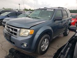 Salvage cars for sale at Dyer, IN auction: 2010 Ford Escape XLT