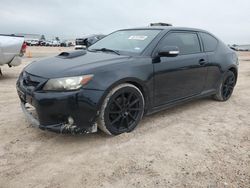 Salvage cars for sale at Houston, TX auction: 2013 Scion TC