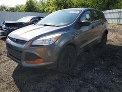 Salvage cars for sale from Copart Windsor, NJ: 2013 Ford Escape S