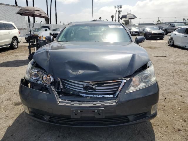 2010 Lexus ES 350