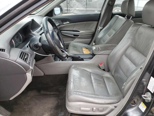 2008 Honda Accord EXL