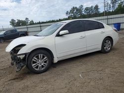 Salvage cars for sale from Copart Harleyville, SC: 2010 Nissan Altima Base
