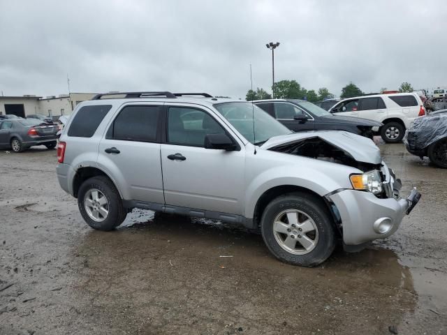 2011 Ford Escape XLT