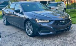 Salvage cars for sale at Pennsburg, PA auction: 2021 Acura TLX Technology