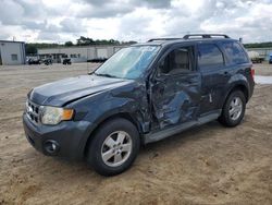 Salvage cars for sale from Copart Conway, AR: 2008 Ford Escape XLT