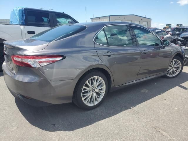 2019 Toyota Camry Hybrid