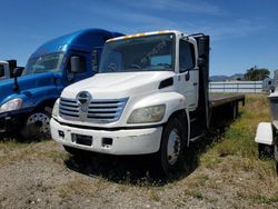 Salvage trucks for sale at Martinez, CA auction: 2010 Hino 258 268