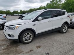 Salvage cars for sale at Ellwood City, PA auction: 2018 Ford Escape SE