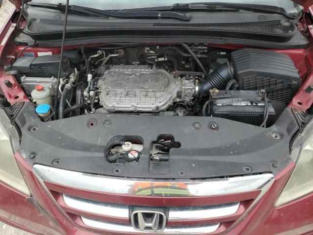 2005 Honda Odyssey EXL