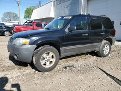 Salvage cars for sale at Blaine, MN auction: 2007 Ford Escape XLT