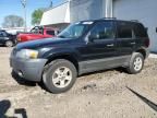 2007 Ford Escape XLT