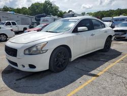 2009 Nissan Maxima S en venta en Rogersville, MO