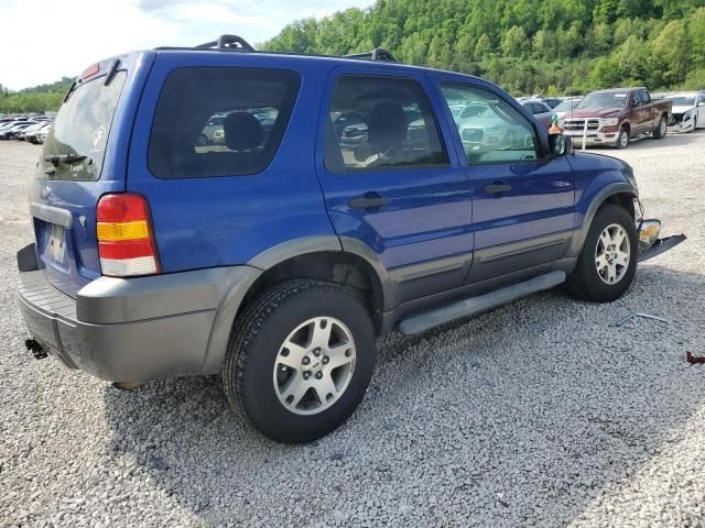 2005 Ford Escape XLT