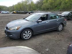 Honda Accord EXL salvage cars for sale: 2009 Honda Accord EXL