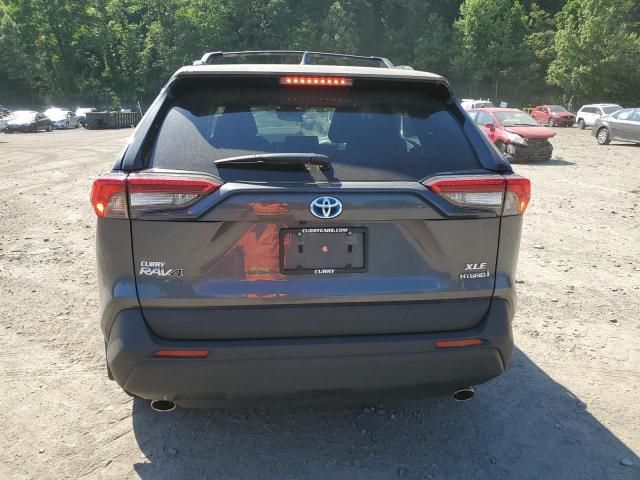 2024 Toyota Rav4 XLE