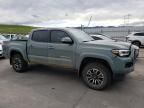 2023 Toyota Tacoma Double Cab