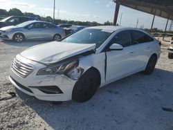 Salvage cars for sale from Copart Homestead, FL: 2016 Hyundai Sonata SE