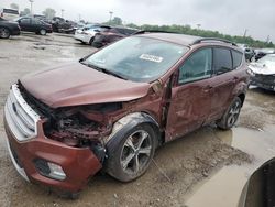 Salvage cars for sale at Indianapolis, IN auction: 2018 Ford Escape SEL