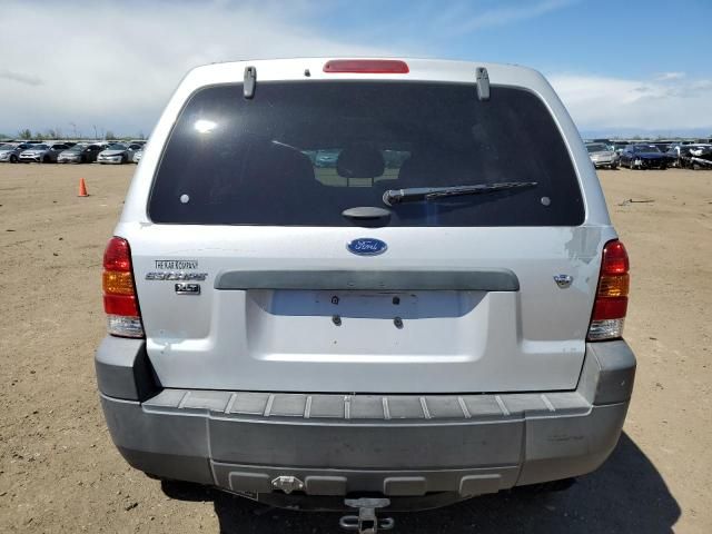 2007 Ford Escape XLT