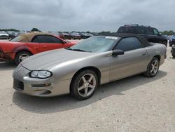 Chevrolet Camaro salvage cars for sale: 2002 Chevrolet Camaro