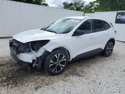 Salvage cars for sale at Baltimore, MD auction: 2021 Ford Escape SE