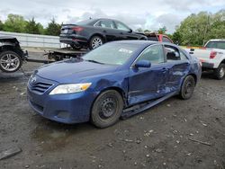 Salvage cars for sale at Windsor, NJ auction: 2010 Toyota Camry Base