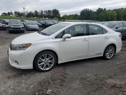 Salvage cars for sale from Copart Finksburg, MD: 2010 Lexus HS 250H